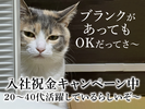 UTエージェント株式会社(関東CS_さいたま・京浜AU)《JWDS1C》WDS1のアルバイト写真
