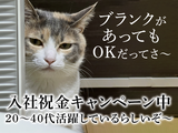 UTエージェント株式会社(関東CS_さいたま・京浜AU)《JRVK1C》RVK1のアルバイト写真