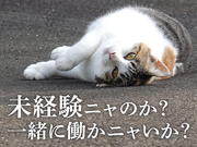 UTエージェント株式会社(関東CS_さいたま・京浜AU)《AACQ1A》ACQ1_4のアルバイト写真2