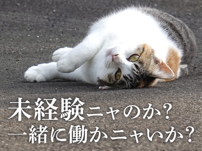UTエージェント株式会社(関東CS_さいたま・京浜AU)《JEZG1C》EZG1のアルバイト写真