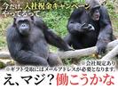 UTエージェント株式会社(関東CS_さいたま・京浜AU)《AURTA》URT新宿エリア_Bのアルバイト写真