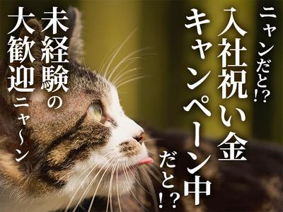 UTエージェント株式会社(関東CS_さいたま・京浜AU)《AURUA》URU_相武台下エリア_Iのアルバイト