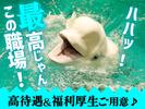 UTエージェント株式会社(関東CS_さいたま・京浜AU)《AURTA》URT浜松町エリア_Hのアルバイト写真