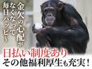 UTエージェント株式会社(関東CS_さいたま・京浜AU)《AURTA》URT新宿エリア_Bのアルバイト写真