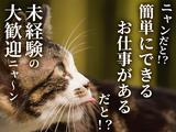 UTエージェント株式会社【加工・製造】【東京都江東区】のアルバイト写真
