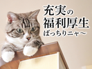 UTエージェント株式会社(関東CS_さいたま・京浜AU)《JEZG1C》EZG1のアルバイト写真