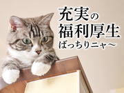 UTエージェント株式会社(関東CS_さいたま・京浜AU)《AACQ1A》ACQ1_4のアルバイト写真1