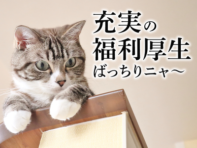 UTエージェント株式会社(関東CS_さいたま・京浜AU)《JEZG1C》EZG1のアルバイト写真