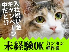 UTエージェント株式会社(関東CS_つくば・水戸AU)《AVBFA》VBF_袋田エリア_Jのアルバイト