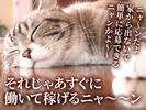 UTエージェント株式会社(関東CS_つくば・水戸AU)《AVBFA》VBF_大田郷エリア_Fのアルバイト写真