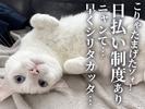 UTエージェント株式会社(関東CS_つくば・水戸AU)《AVBFA》VBF_大田郷エリア_Fのアルバイト写真