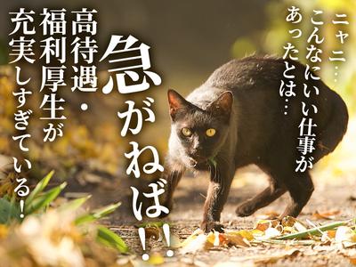 UTエージェント株式会社(関東CS_つくば・水戸AU)《AVBFA》VBF_大田郷エリア_Fのアルバイト写真