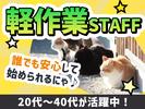 UTエージェント株式会社(関西北陸CS_阪神AU)《SUSMC》S_川西能勢口エリアのアルバイト写真