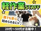 UTエージェント株式会社(関西北陸CS_大阪AU)《JLSU1C》LSU1のアルバイト写真