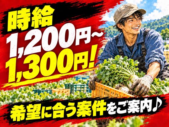 株式会社ベクトル伸和/呉エリアのアルバイト写真