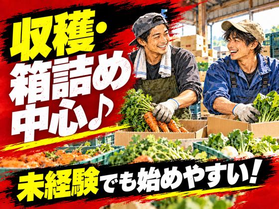 株式会社ベクトル伸和/呉エリアのアルバイト写真