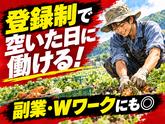 株式会社ベクトル伸和/呉エリアのアルバイト写真