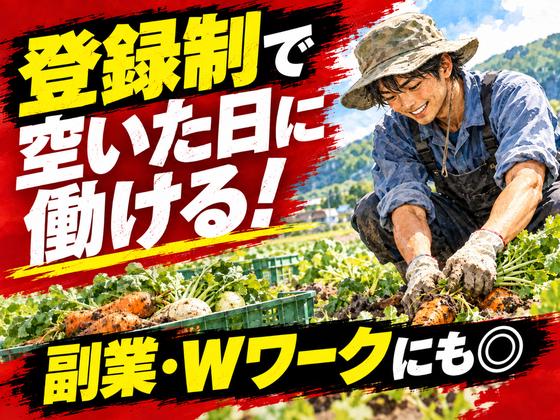 株式会社ベクトル伸和/呉エリアのアルバイト写真
