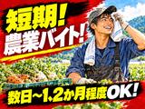 株式会社ベクトル伸和/呉エリアのアルバイト写真