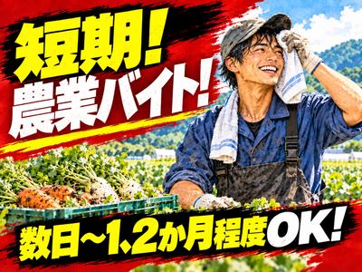 株式会社ベクトル伸和/呉エリアのアルバイト