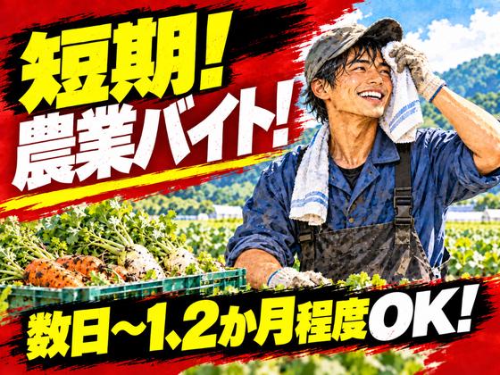 株式会社ベクトル伸和/呉エリアのアルバイト写真