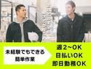 ヴィプランニング株式会社＿受付窓口01のアルバイト写真