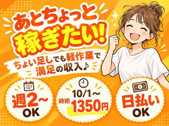 週2＆WワークOKの軽作業スタッフ（日勤）AMZN千葉みなと_株式会社ワールドスタッフィング/51626_48788-01のアルバイト写真