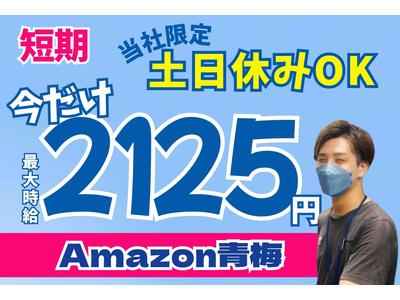 株式会社ワールドスタッフィング青梅(短期)/51626_46352-00のアルバイト