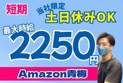 株式会社ワールドスタッフィング青梅(短期)/51626_46352-00のアルバイト