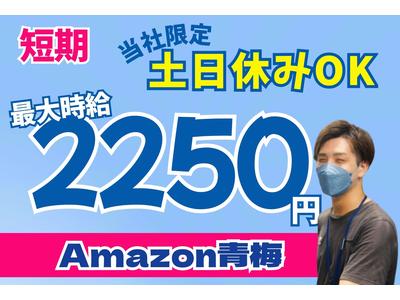 株式会社ワールドスタッフィング青梅(短期)/51626_46352-00のアルバイト