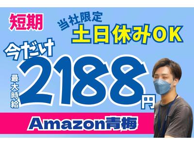 株式会社ワールドスタッフィング青梅(短期)/51626_46352-00のアルバイト
