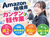 Amazon軽作業スタッフ（日夜勤）株式会社ワールドスタッフィングAmazon相模原/51626_45441-00のアルバイト写真