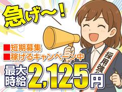 株式会社ワールドスタッフィング■/51626_54130-00のアルバイト