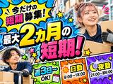未経験OKの軽作業（日夜勤）東海大府倉庫_株式会社ワールドスタッフィング/51626_66548-00のアルバイト写真