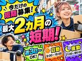 未経験OKの軽作業（日夜勤）東海大府倉庫_株式会社ワールドスタッフィング/51626_66548-00のアルバイト写真