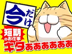 株式会社ワールドスタッフィング(小郡)/51626_55014-00のアルバイト