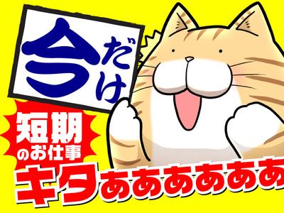 株式会社ワールドスタッフィング/51626_54130-00のアルバイト