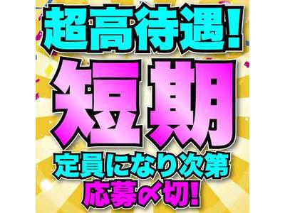 株式会社ワールドスタッフィングHS事業部/0063684_56524-00のアルバイト