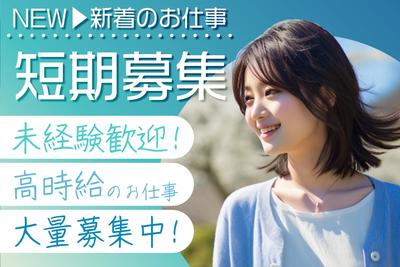 株式会社ワールドスタッフィングHS事業部/0063672_56079-00のアルバイト写真