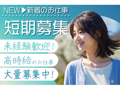 株式会社ワールドスタッフィングHS事業部/0063672_56079-00のアルバイト