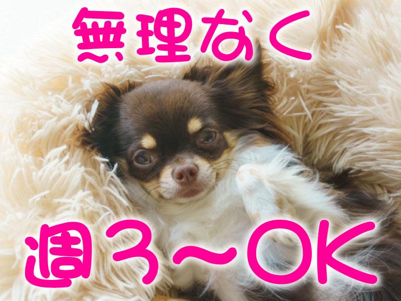 ★週3～OK×1日4h～★アパレル通販の仕分け＜重量物ナシ＞♪時...