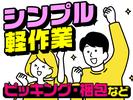 ヤマト・スタッフ・サプライ株式会社(春日部)/15537のアルバイト写真