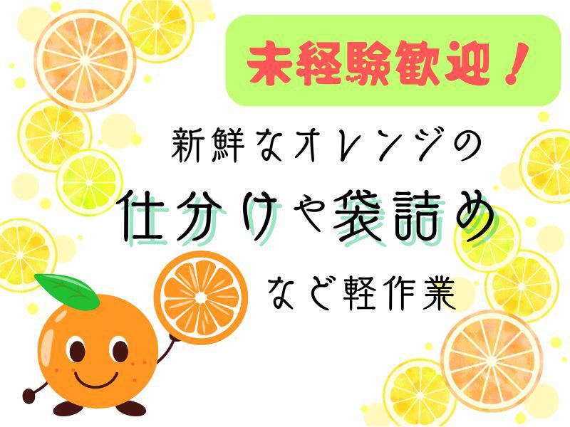 ヤマト・スタッフ・サプライ株式会社(みやま)/12432の求人画像