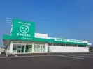 ザグザグ ハローズモール砥堀店(パート)登録販売者(66678)のアルバイト写真